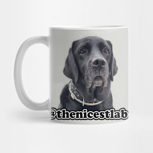 the nicest lab Mug